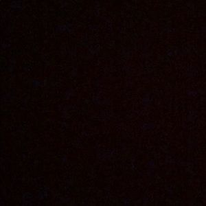 Meet your Posher, Zachary